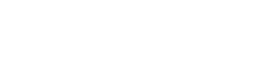 Veldo Logo